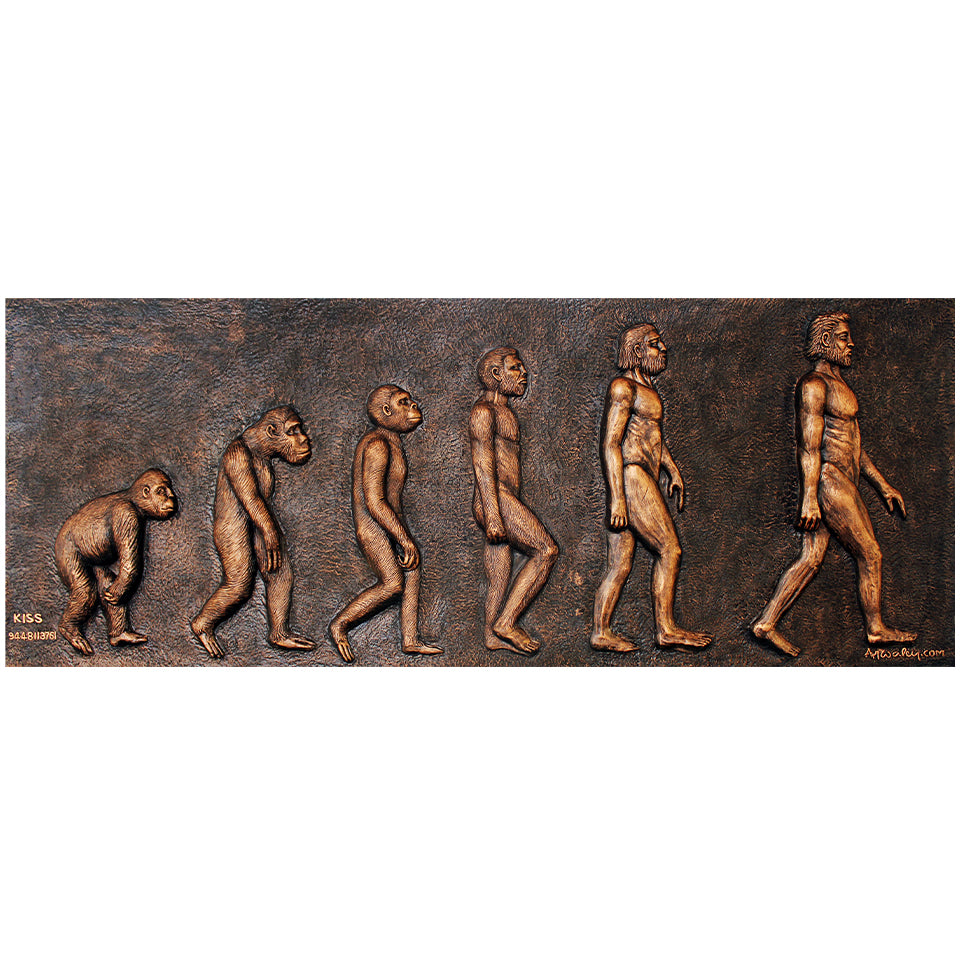 Human Evolution - Mural