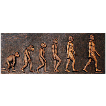 Human Evolution - Mural